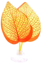 Betta-Blatt (orange)